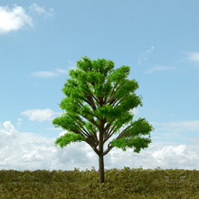 model trees